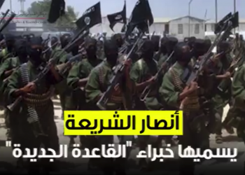 التنظيمات الجهادية النشطة في سيناء