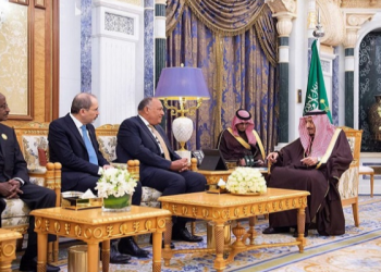 التنافس الجيوبوليتيكي: مجلس البحر الأحمر وهيكلة نظام إقليمي جديد